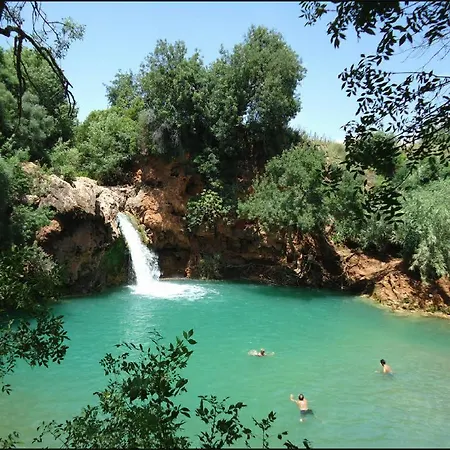 Taah Billa Tavira